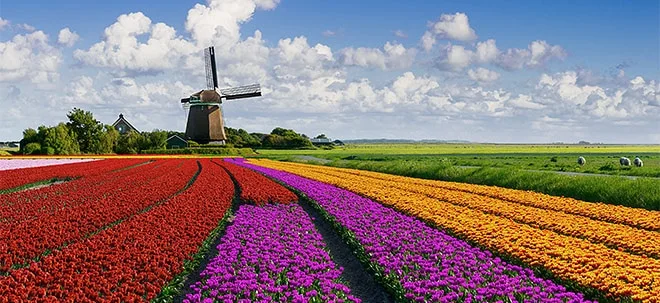 Niederlande&#8209;Aktien: Ein Land blüht auf, hier bieten sich Einstiegschancen (Foto: Börsenmedien AG)