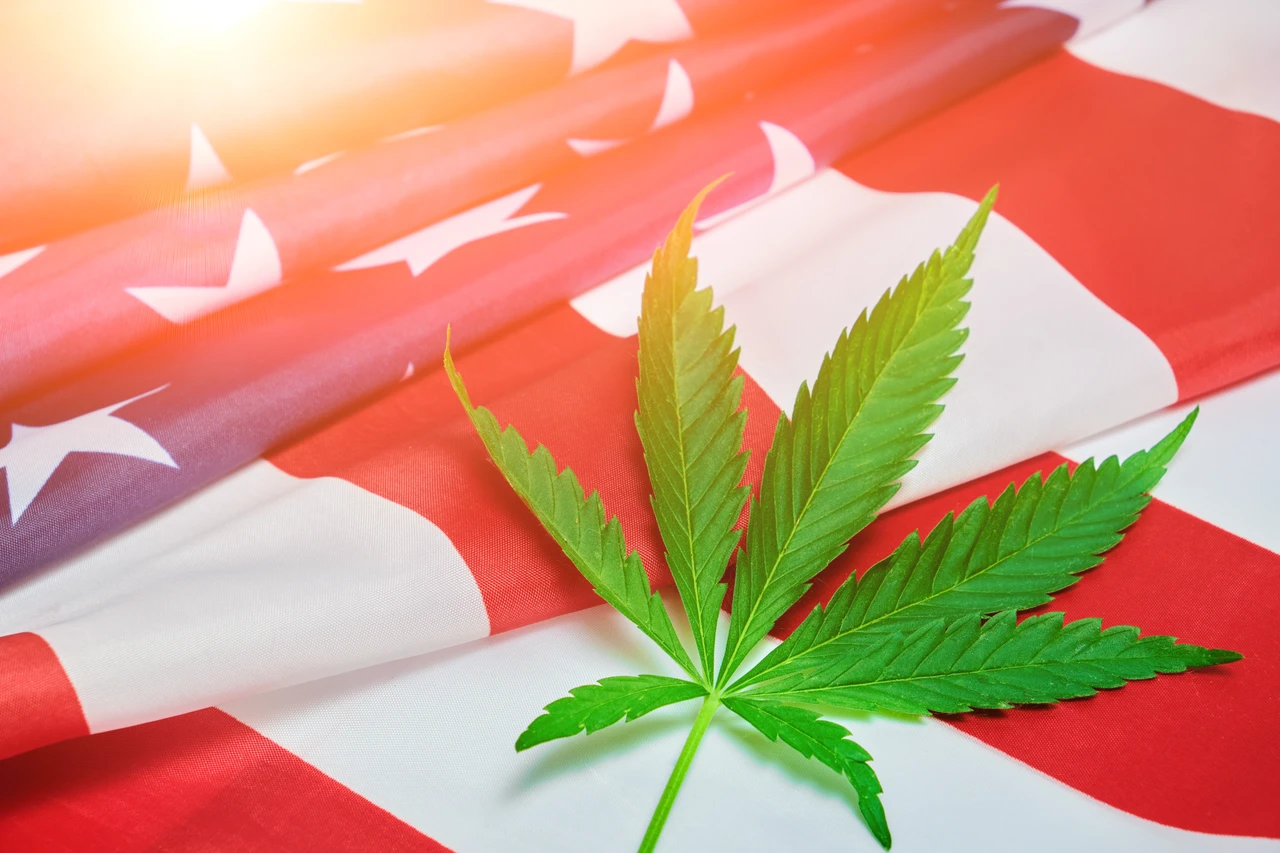 Enormes Marktpotenzial: Cannabis in den USA vor flächendeckender Legalisierung