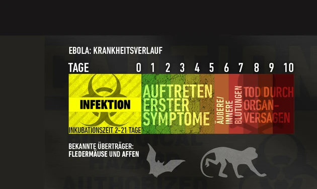 Ebola: Große Gefahr für den Aktienmarkt?