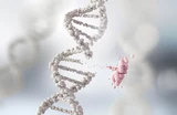 Editas Medicine: CRISPR‑Aktie Editas Medicine: Frische Impulse – jetzt zugreifen?