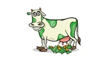 Facebook: Facebook: Cashcow WhatsApp