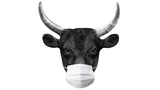 : Bullish trotz Corona‑Virus ‑ Große Analyse:  So müssen Anleger jetzt handeln