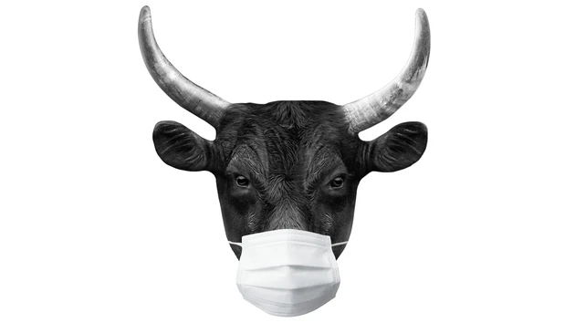Bullish trotz Corona‑Virus ‑ Große Analyse:  So müssen Anleger jetzt handeln
