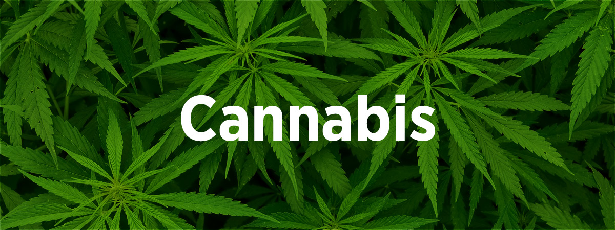 Cannabis – Börse Online Invest