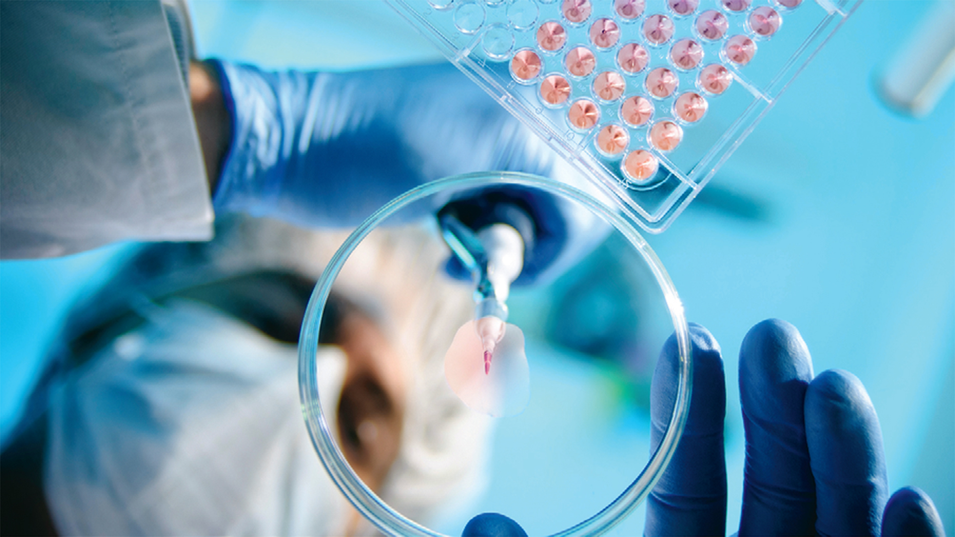 Eli Lilly vs. Novo Nordisk: Kommt es deswegen wieder zu einer steilen Rallye bei den Biotech&#8209;Aktien? (Foto: nicolas/iStock)