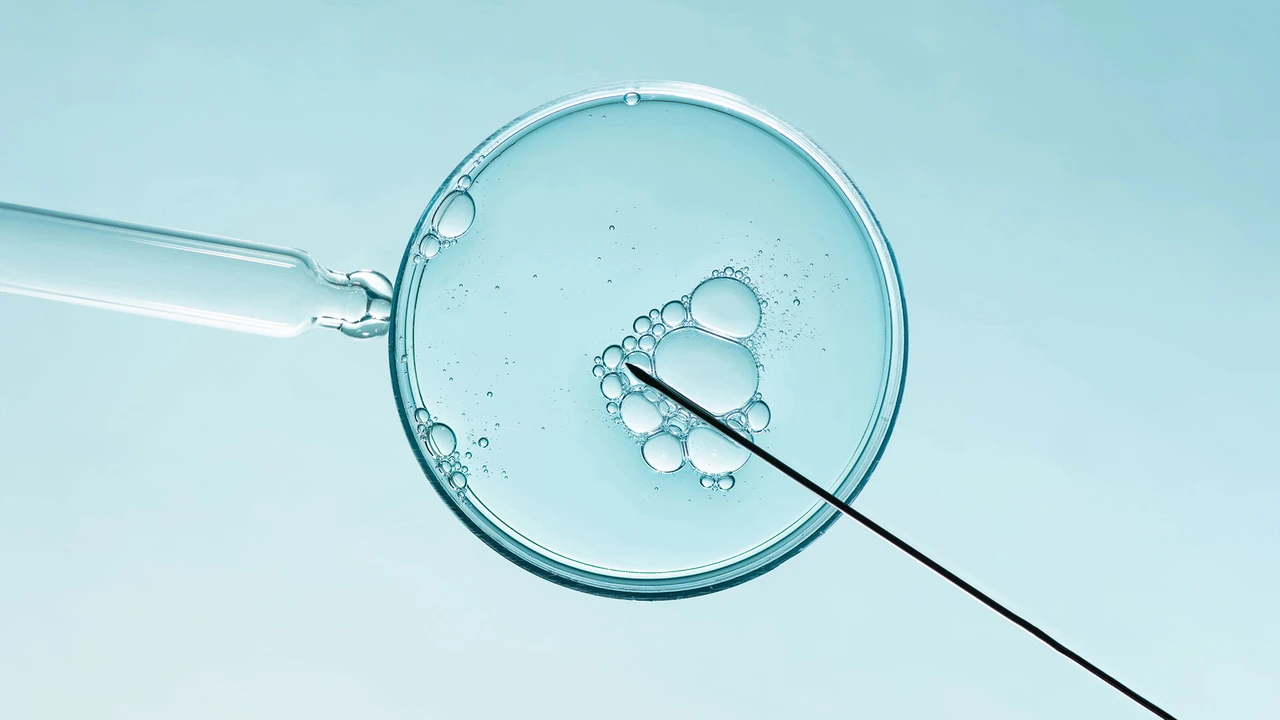 Vitrolife: Es werde Leben