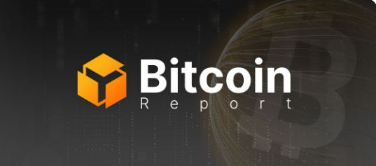 Bitcoin Report