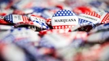 DAX: Hot‑Stock der Woche: Sieg für Cannabis