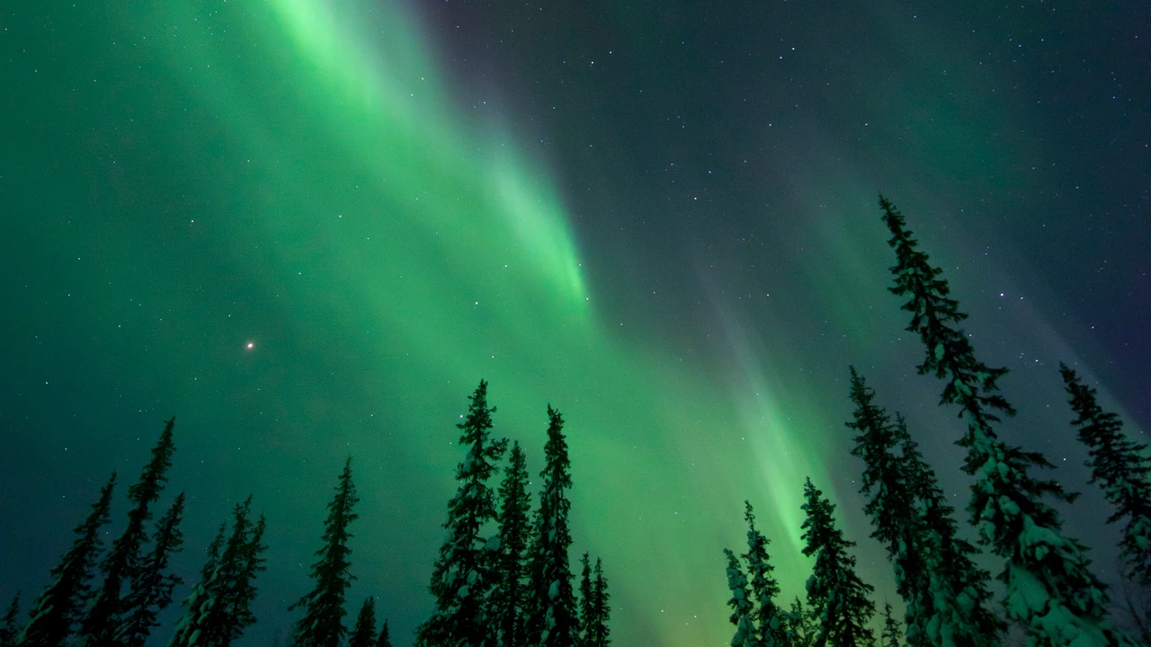 Top-Tipp der Woche: Ein Licht geht auf