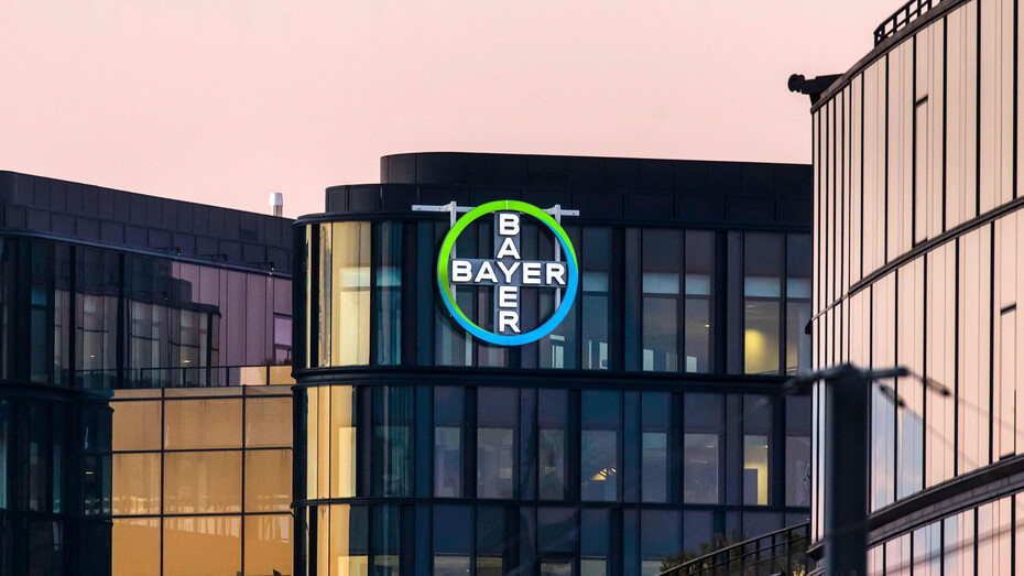  Bayer-Bullen geben auf (Foto: IP3press/Imago)