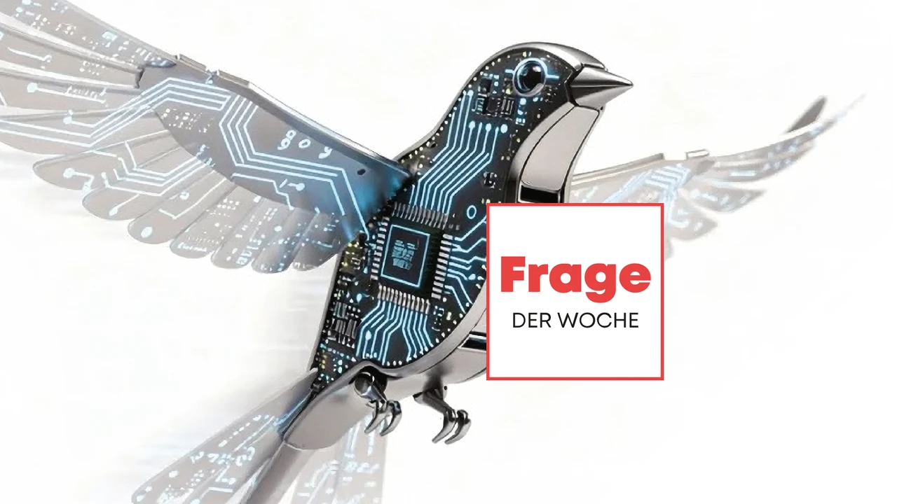 Hat die Börse einen Vogel?