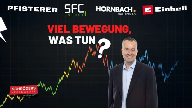 Schröders Nebenwerte‑Watchlist: SFC Energy, Salzgitter, Einhell, Hornbach, Pfisterer