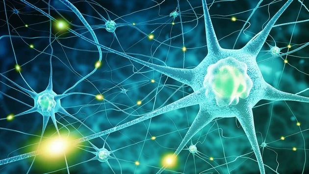 Neuralink: Elon Musks Neurotech‑Firma mit Mega‑Bewertung – diesen Hot‑Stock müssen Sie jetzt kennen