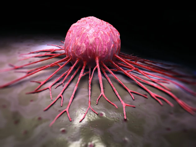 Biotech‑Hot‑Stock 4SC: Nächste gute News – Aktie vor Kaufsignal