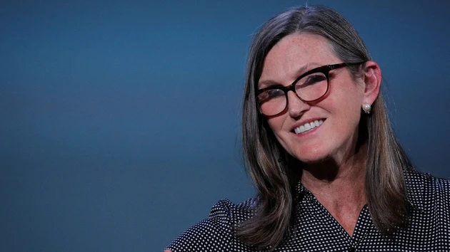 Palantir: Cathie Wood kauft Aktien für zig Millionen Dollar
