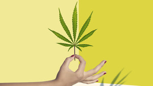 Cannabis‑Hot‑Stock Tilray: Grünes Licht für neue Rally?  / Foto: Shutterstock