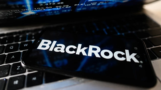BlackRock: Neue Rekorde – Aktie gibt Gas
