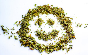 Cannabis‑Hot‑Stock Khiron Life auf dem Weg zu neuem Allzeithoch!  / Foto: Börsenmedien AG