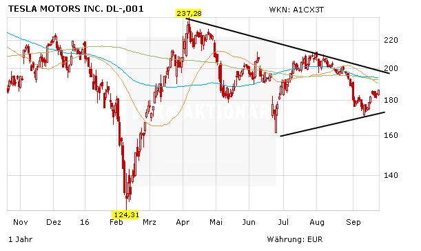 Tesla lässt die Konkurrenz im US-Markt weit hinter sich