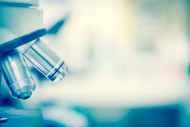 Exelixis: Zwei Top‑News lassen Aktie explodieren