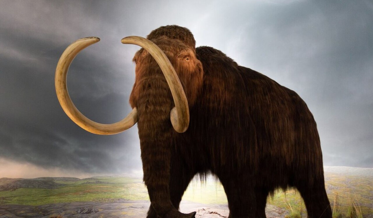 Nvidia Das ist groß droht Selloff? DER AKTIONÄR