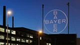 Bayer: Bayer: Der DAX‑Verlierer des Jahres