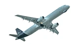 Deutsche Lufthansa: Deutsche Lufthansa: Flieg, Kranich, flieg!