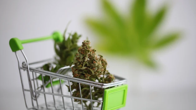 Tilray, Curaleaf und Co: Das ändert alles!