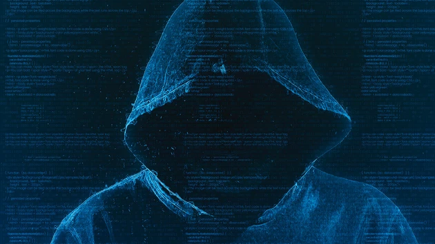 Krypto‑­Expertin Erica Stanford: Betrug in der Kryptowelt ‑ Interview Teil 1