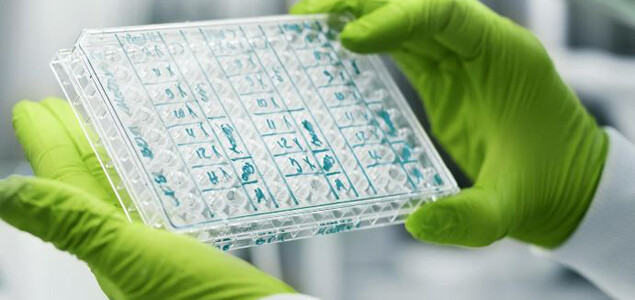 Biontech Ausser Spesen Nichts Gewesen Der Aktionar Biontech Ausser Spesen Nichts Gewesen Der Aktionar