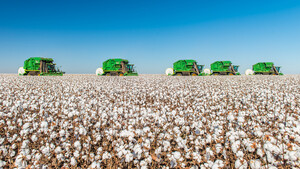 Neue Serie: Rohstoffe einfach erklärt – heute: Baumwolle Future  / Foto: Shutterstock