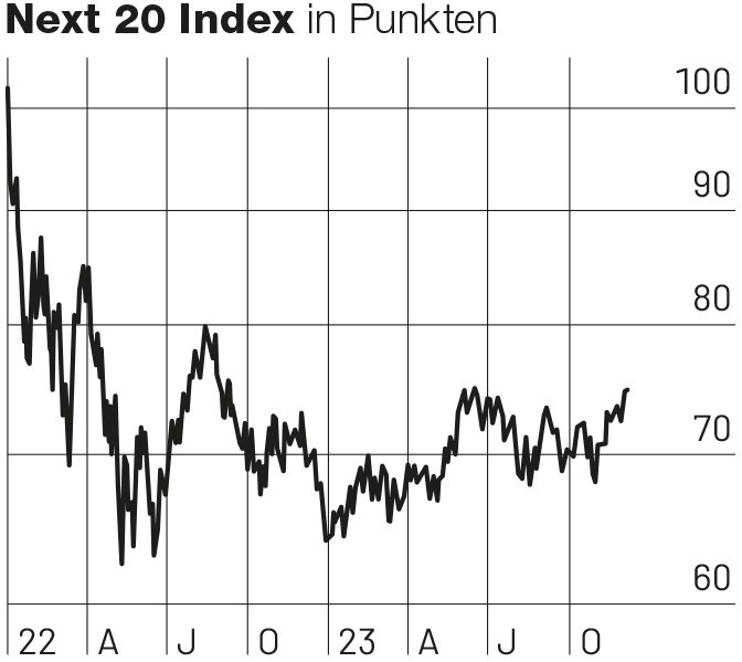 Next 20 Index