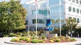 Paypal: Paypal: Hochspannung vor den Zahlen ‑ Trader positionieren sich jetzt