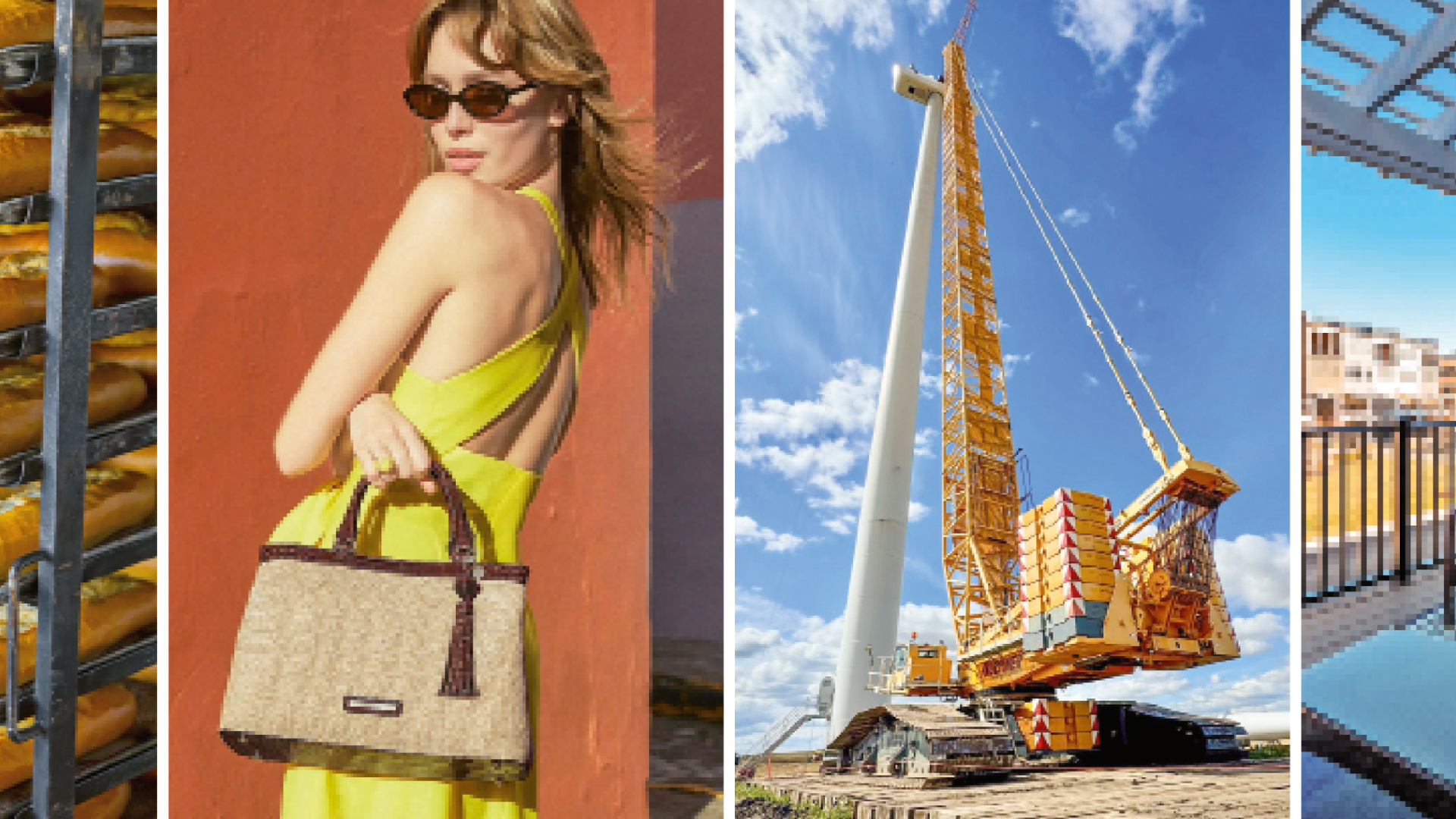 Kaum jemand kennt sie: Baby Berkshire mit Potenzial  (Foto: Naked King/iStock, Brahmin, Buckner HeavyLift Cranes, Eagle Construction)