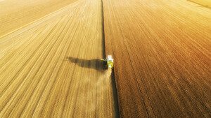 Kaliriese Nutrien: Der nächste Deal  / Foto: Shutterstock