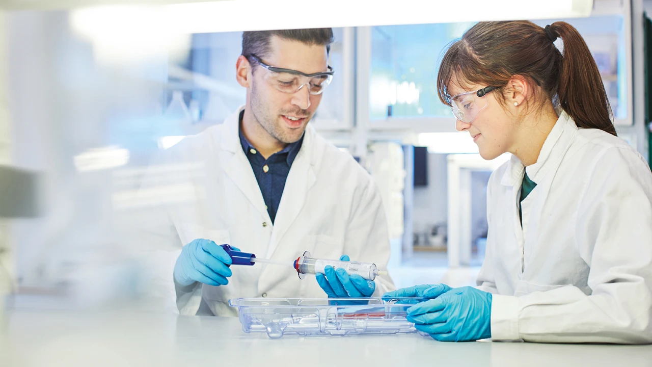 Kurse im Heilprozess