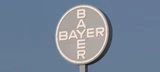 Bayer: Bayer‑Aktie klar an der DAX‑Spitze – was hat es mit den Gerüchten auf sich?