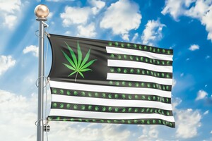Aurora Cannabis, Canopy Growth & Co: Was tut sich in den USA?  / Foto: Börsenmedien AG