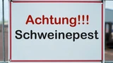 ETFS COM.SEC.DZ06/UN.HOGS: Was macht eigentlich die Schweinepest?