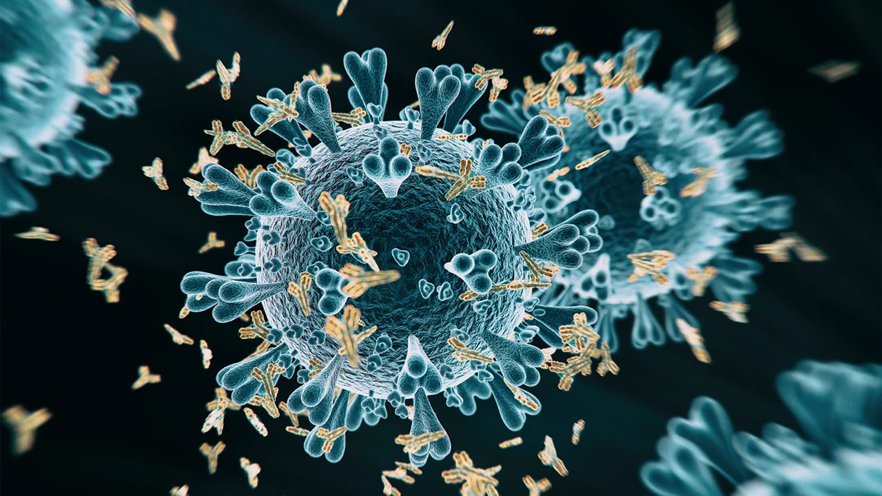 Aktienfieber durch Vogelgrippe?