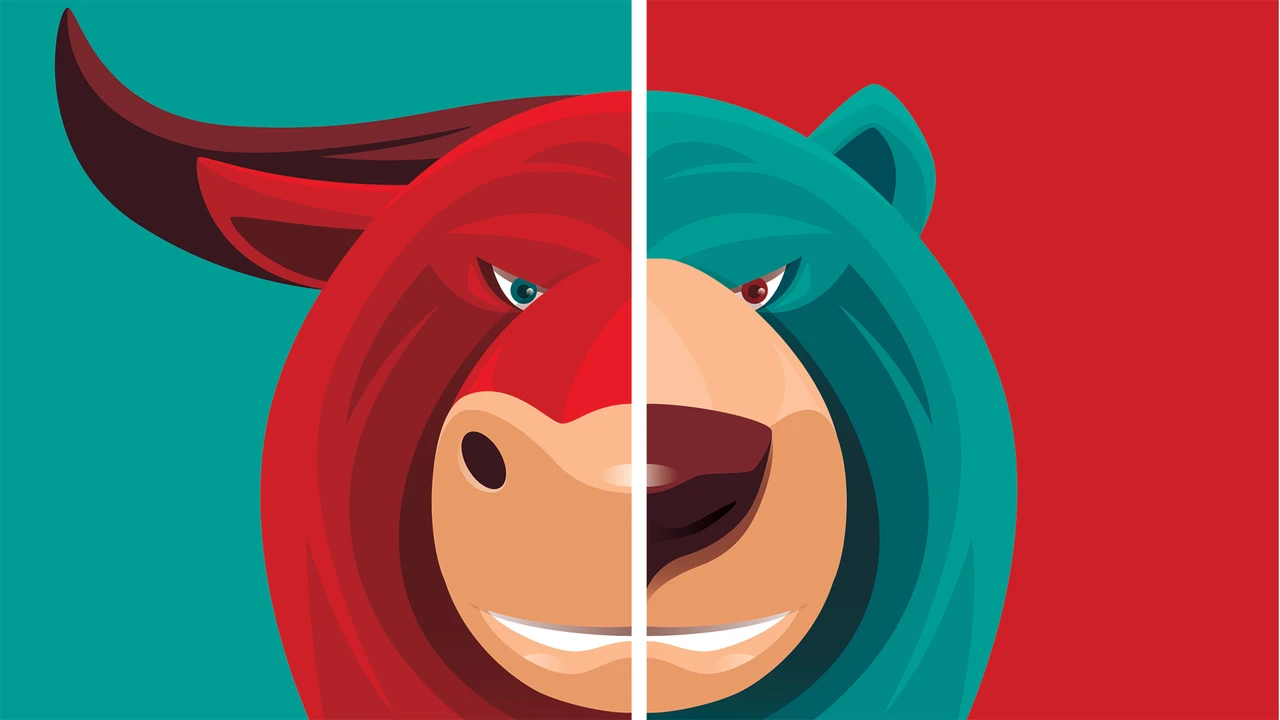 Hü oder Hott: Das spricht für steigende Kurse - Das spricht für fallende Kurse