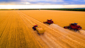 Weizenpreis explodiert – diese Aktie dreht auf  / Foto: Shutterstock