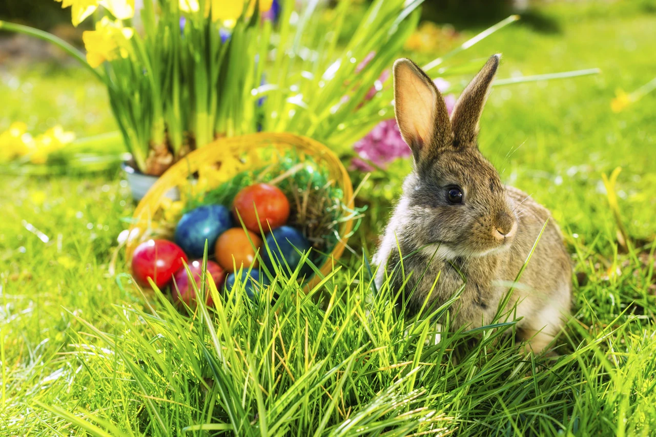 DAX-Check: Frohe Ostern!