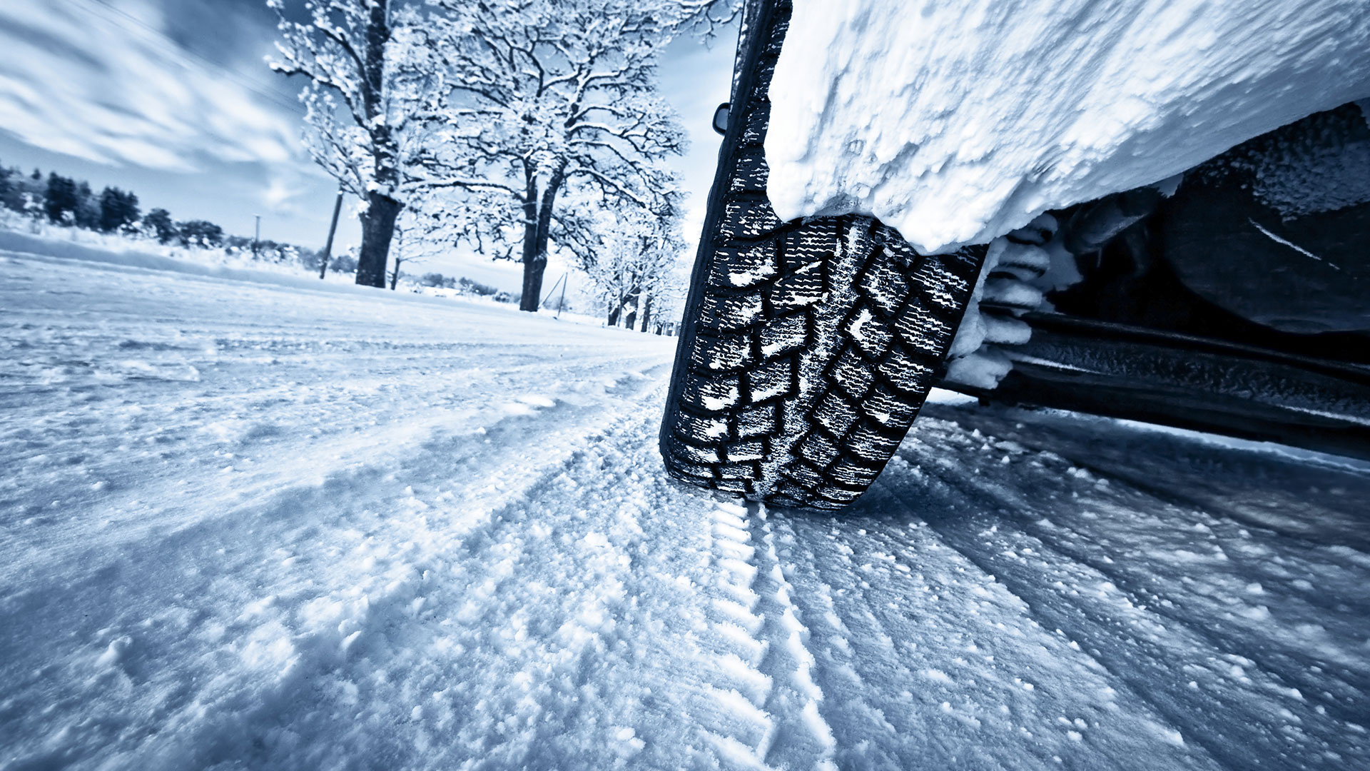 Winterfestes Depot: So stabilisieren Sie Ihr Portfolio, wenn die Jahresendrallye endet (Foto: Shutterstock)