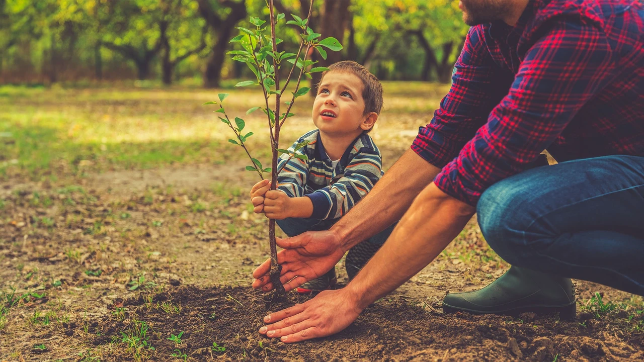 Zinseszinseffekt: Das Vermögen wächst mit Ihrem Kind