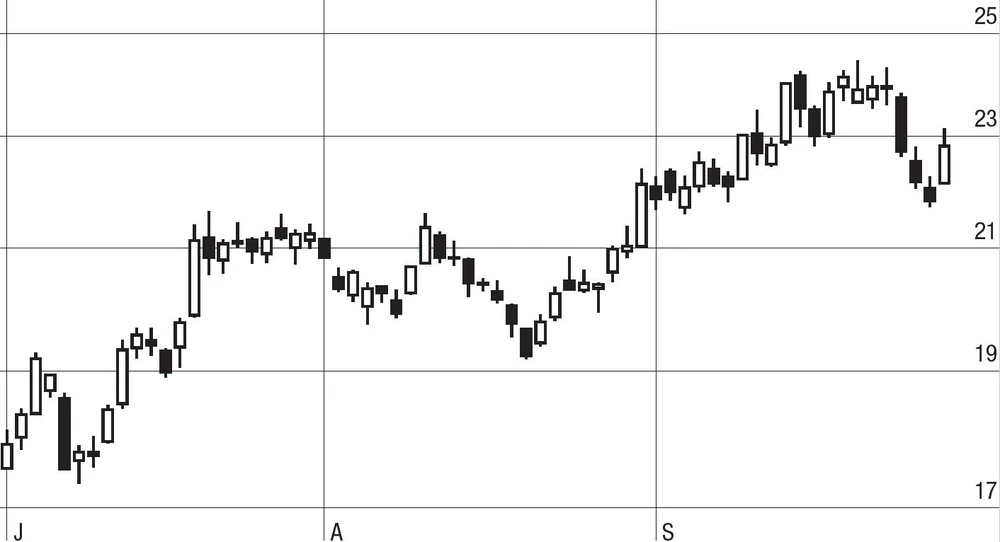 Die Aussicht auf eine Zinswende nach unten hat den Wohnungskonzern Vonovia beflügelt. Um 27,5 Prozent ging es nach oben.
