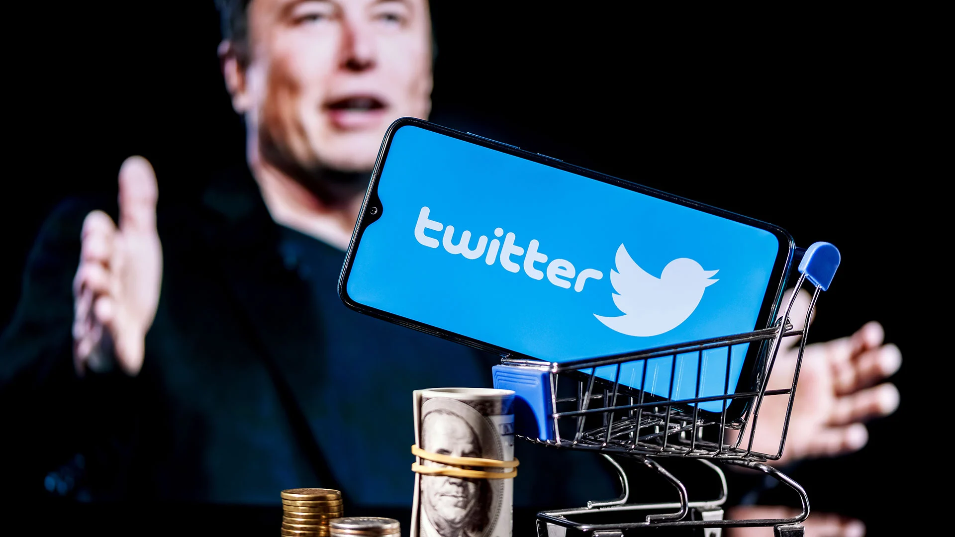 Twitter: Massenentlassungen und kostenpflichtige Profile – was hat Musk vor?  (Foto: Sergei Elagin/Shutterstock)
