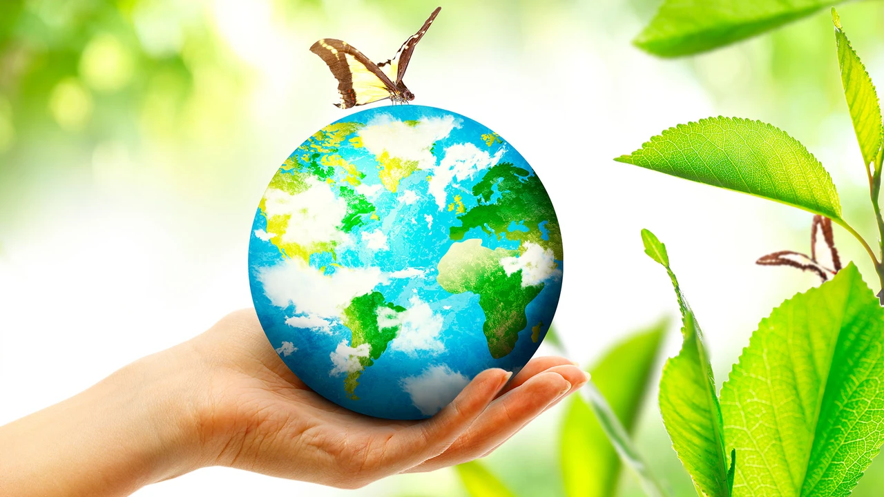 COP30: Mit diesen Aktien können Anleger die Welt retten und abkassieren