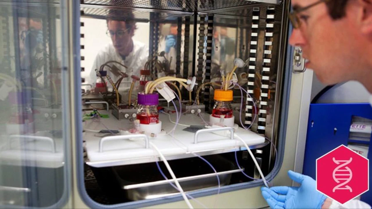 Organe aus dem 3D-Drucker? Organovo forscht im Bereich des Bioprinting, Chart aber eine Katastrophe. Impulse abwarten.