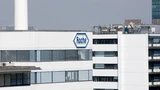 Roche: Dividendenperle Roche trotzt Biosimilar‑Konkurrenz: Prognose angehoben